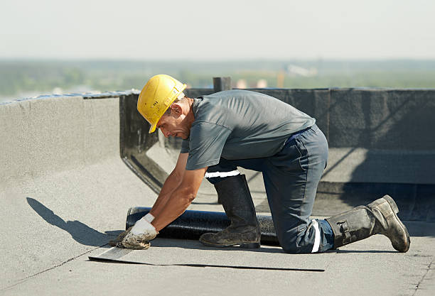 Best Basement Insulation  in University Park, TX